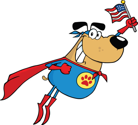 Give a fun Gift this Veterans Day!