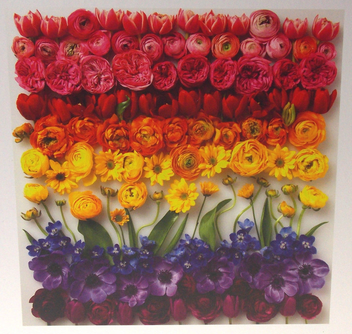 Galison Jigsaw Puzzle Spring Flowers 500 Pieces 20x20