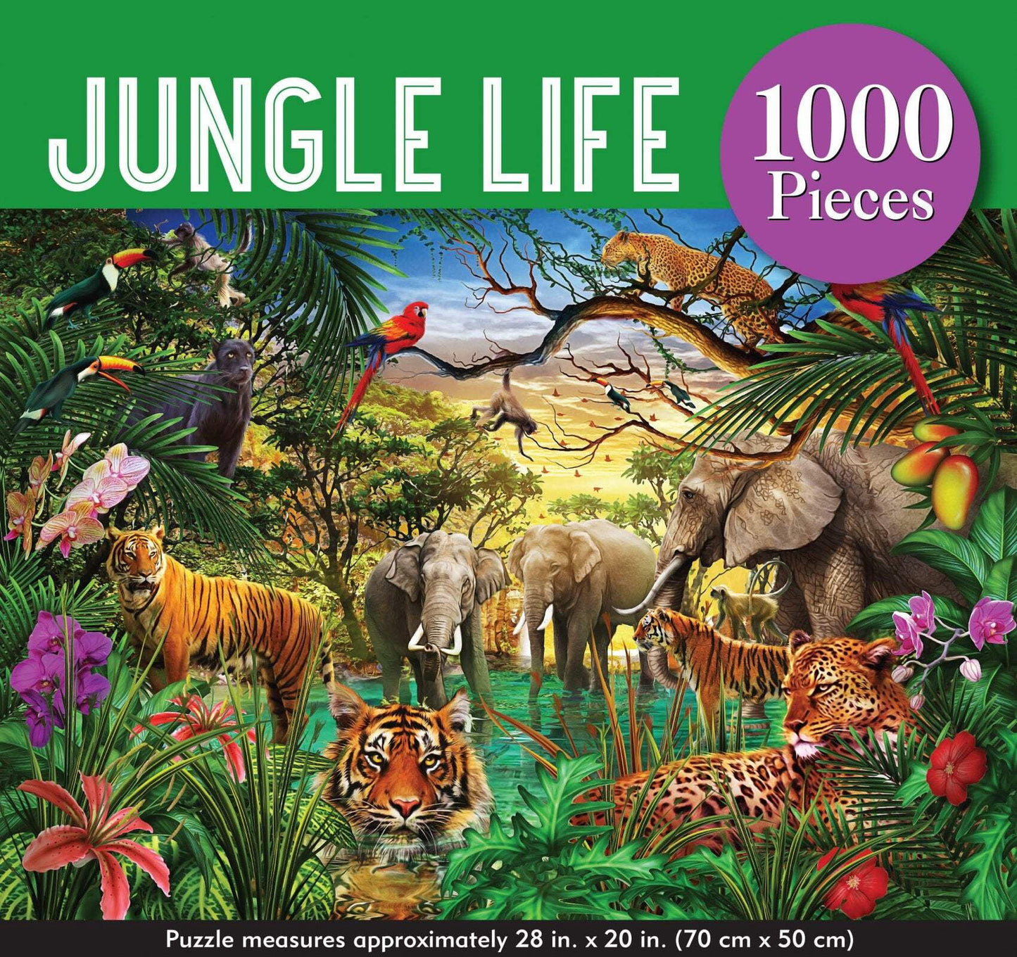 Puzzle Jungle Life (Other)