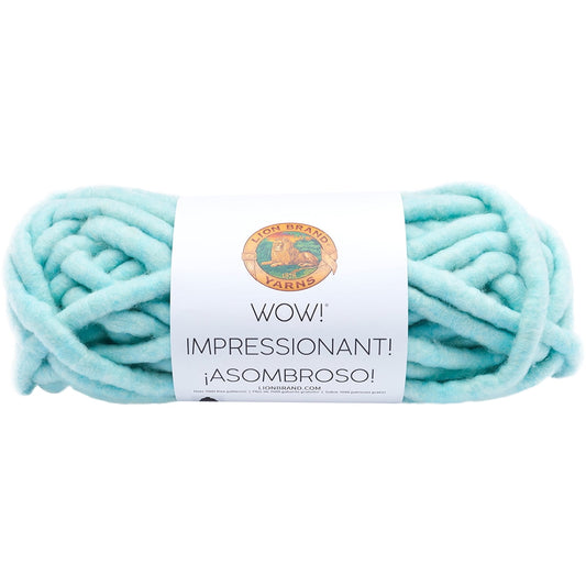 Lion Brand Yarn Wow Mermaids Tale 932-102 Bulky Novelty Yarn