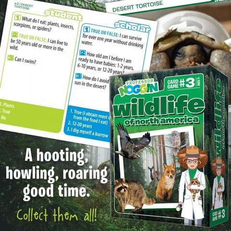 Explore North American Wildlife with Professor Noggin's Card Game - Fun and Educational!