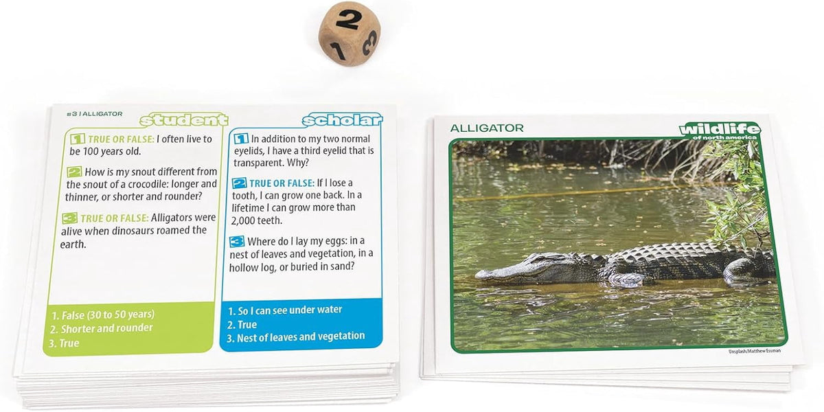 Explore North American Wildlife with Professor Noggin's Card Game - Fun and Educational!