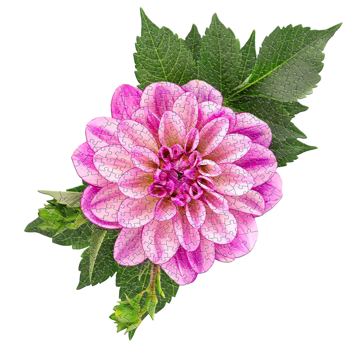 Madd Capp 350-Piece I Am Dahlia Floral Shaped Jigsaw Puzzle