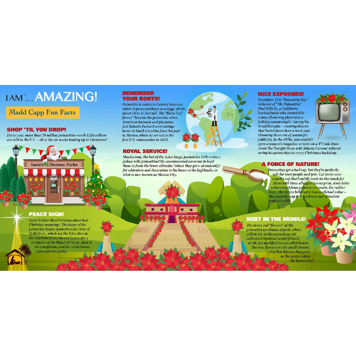 Madd Capp POINSETTIA 350 Piece Jigsaw Puzzle For Ages 10 and up - 8008 - Unique Floral-Shaped Border, Random Cut, Deluxe Five-Sided Box, Includes Educational Madd Capp Fun Facts & Gardening Tips