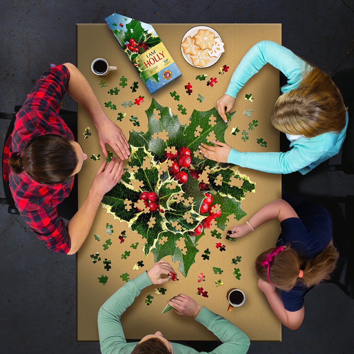 Madd Capp HOLLY 350 Piece Jigsaw Puzzle For Ages 10 and up - 8007
