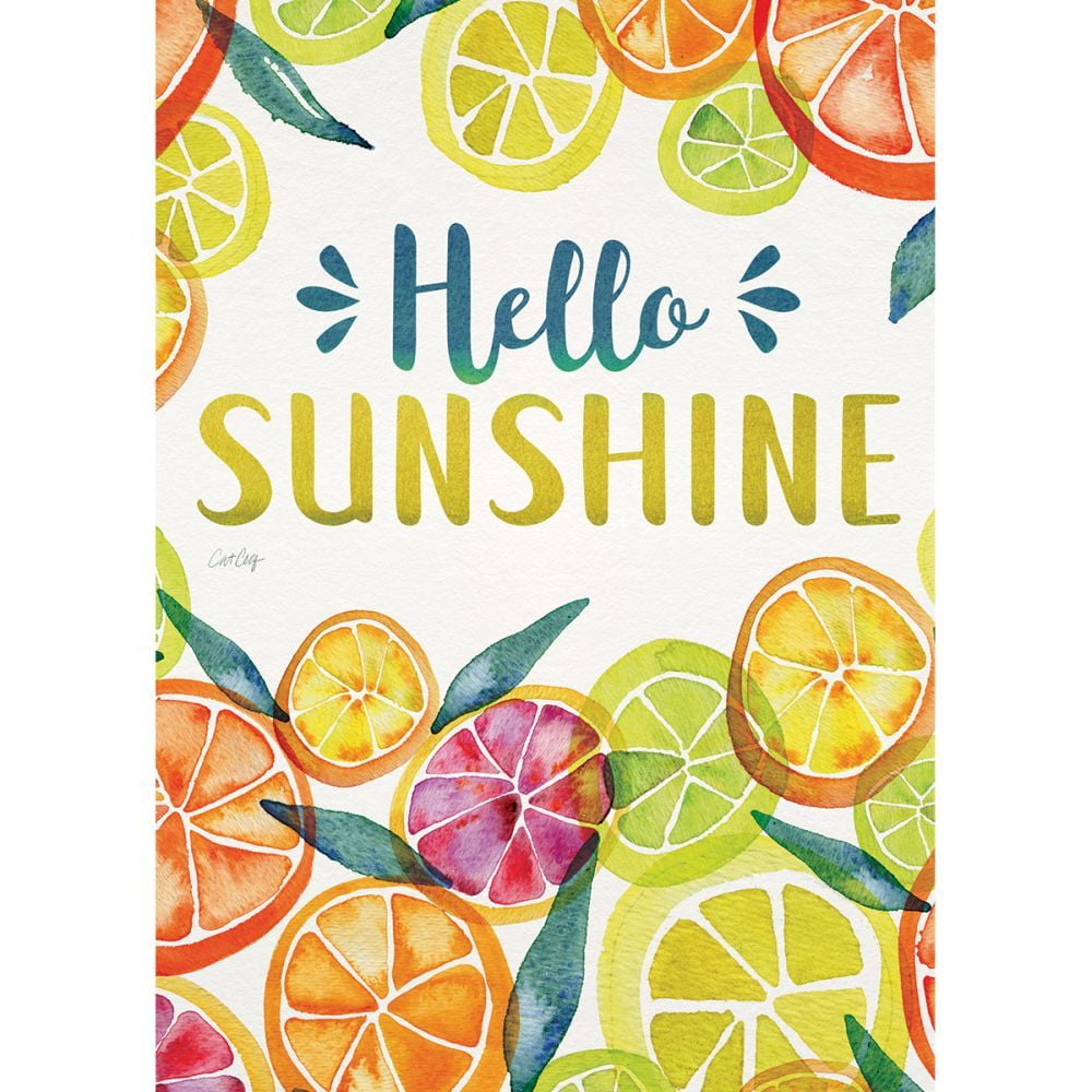 Lang Companies, Main Squeeze Mini Garden Flag by Cat Coquillette
