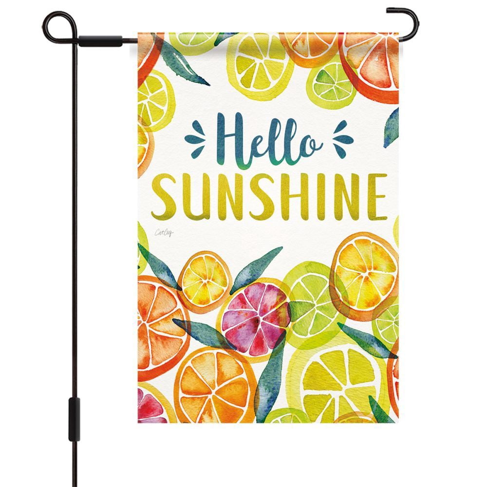 Lang Companies, Main Squeeze Mini Garden Flag by Cat Coquillette