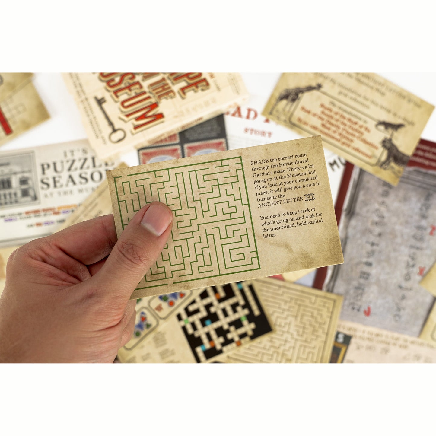Professor Puzzle: Escape From The Museum - A Mini Escape Room Game, 12 Brain-Busting Puzzles To Solve, Collaborative Party Game, Ages 12+, 1+ Players