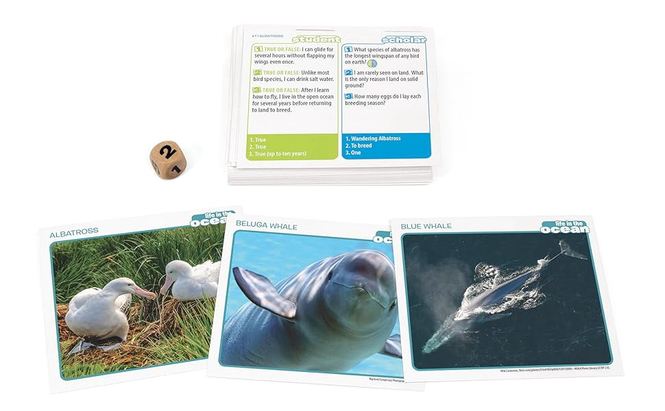 Professor Noggin: Life in the Ocean Educational Card Game For 2 or more Players Ages 7 and up