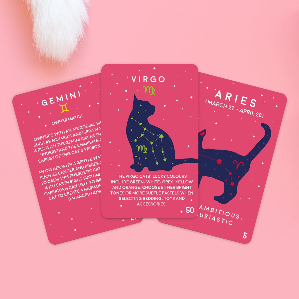 Gift Republic Paw-Mistry Cards: Cat Edition